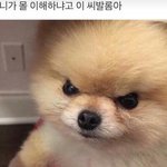 아 죤나 하울의 움직이는 성 보고 왔는데 개설렌당ㅇ앙알