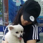 전주 객사주변 흰색 남아 <b>포</b><b>메</b>강아지 유기견