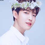 [워너원] 얘들아 ㅇㅌ에 <b>해명</b>글 올려야될것 같지않아..?