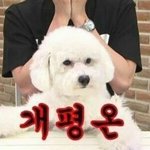 [EXO] 마음에 <b>평화</b>를 되찾읍시다