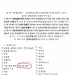 [세븐틴] ㅅㄷ가방 <b>쌀</b> 봉투가 뭐야??