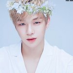 [워너원] 애들 <b>화관</b>짤 다 너무이쁘다 이거야