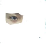 나 <b>겉</b>쌍이었다가 <b>속</b>쌍됐는데