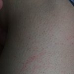 [드루와] 대전 <b>노리</b>존 디팡너무심한거아니야?(털주의)