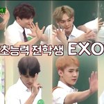 [EXO] 하개<b>황홀</b>해 미친