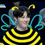 [워너원] ㅅㄷ 하1루1벌꿀 <b>사본</b> 사람