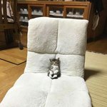 웹툰 추천좀!