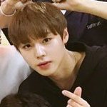 [워너원] 낼 나올 떡밥정리