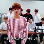 [워너원] 지녕파 vs  지훈파 ㅋㅋ