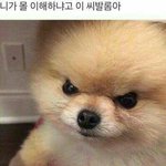 좋아 ㄹㅇ 내일부터 다이<b>요트</b>다