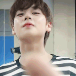 [워너원] 어쩌면 <b>프듀</b>할때가 더행복했었던듯