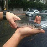 [워너원] ㅅㄷ 우리지역 비 ㅈㄴ 많이와서