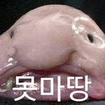 [댓글부탁해] 나좀도와줘ㅜㅜㅜㅜㅜ렌즈가안빠져ㅜㅜㅜ
