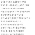 [댓글부탁해] 이런거 카톡 <b>배사</b>하면 이상함?