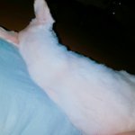 [EXO] 내 <b>쿠션</b>뺏고 <b>위</b>로 올라가서 잔다