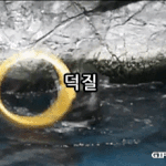 [뉴이스트] 아 <b>잔인</b>헤 진짜