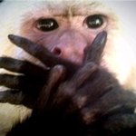 [뉴이스트] 실제로 본 헨리, 엠버와 종현(JR)