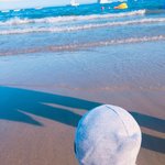 [뉴이스트] 쩨아리 <b>몰이</b> 많이 당하게찌..