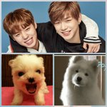 [박지훈] 댕댕이 <b>지후</b>니다녤
