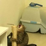 샹 이 <b>한여름</b>에 보일러를 키고 있어야 한다니