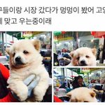 [댓글부탁해] 드림성형외과 <b>yk</b>성형외고ㅓ