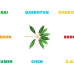 [EXO] 조카 <b>안정</b>적인 구도다