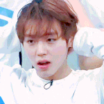 [워너원] ?? : 지훈아 가정<b>방문</b>왔다~~