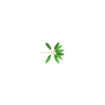 [EXO] 로고 뭔 의밀까 왜 다를까