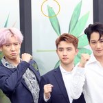 [EXO] <b>잠자리</b>에놀란 찬열이랰ㅋㅋㅋㅋㅋ