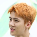 [세훈] 170718 기자<b>간담회</b>3