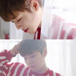 [박지훈] 어디서든 빛이나네