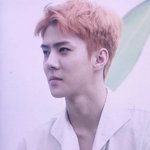 [세훈] 170718 기자<b>간담회</b> 프리뷰2