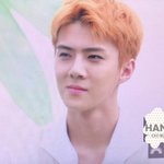 [세훈] 170718 기자<b>간담회</b> 프리뷰4