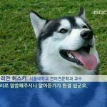 문효정이고 <b>나발</b>이고 병먹금 하라고