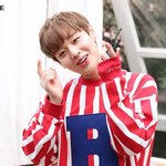 [워너원] 얘들아 전멤버<b>출연</b>아닐수도있어