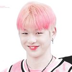 [워너원] 다이어트 자극짤
