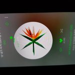 [EXO] <b>쇼우</b>챔 후보 뜸 투표ㄱㄱ