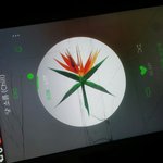 [EXO] 그 <b>와중</b>에 17만장 돌파함 ㅇㅅㅇ
