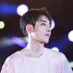 [세븐틴] 화나서 마음 진정안되는 캐럿들