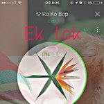 [EXO] 인증 ㅈㄴ 열심히 꾸며봄 어떠냐