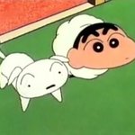 나 곧 강아지 키울건데 이름 지어줘!!!