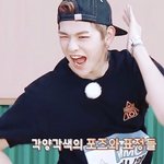 [워너원] 워너원 포켓몬고 편 2