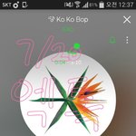 [EXO] 응원법 이<b>엑</b><b>쏘</b> 하는게 도대체 몇번이냐ㅋㅋㅋㅋㅋ