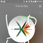 [EXO] 응원법 나만 다 외웠냐