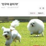 나 <b>학급</b>회장인데