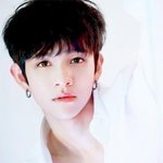 제대로 <b>사슴</b>상인 아이돌