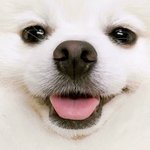 아는언니 사진 올리는 <b>애기야</b> 신고할게~