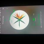 [EXO] 세훈이 댄스브레이크 하기 전에