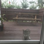 (<b>베란다</b>사진 추가)아침에 신혼집 <b>베란다문</b> 열고 들어오는 친구