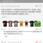 존.나 나 뭐 잘못함?ㅋㅋㅋㅋㅋㅋㅋㅋ